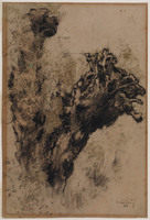 KT 1996 066
          <br/>
          Knotwilg
          <br/>
          <em>Jong, Germ de (1886-1967)</em>